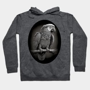 African Grey Parrot Hoodie